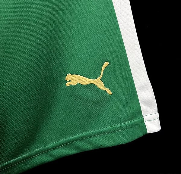 24/25 Palmeiras Away Green Shorts - Image 5