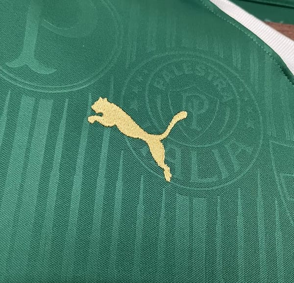 2024/25 Women Palmeiras Home Jersey - Image 11