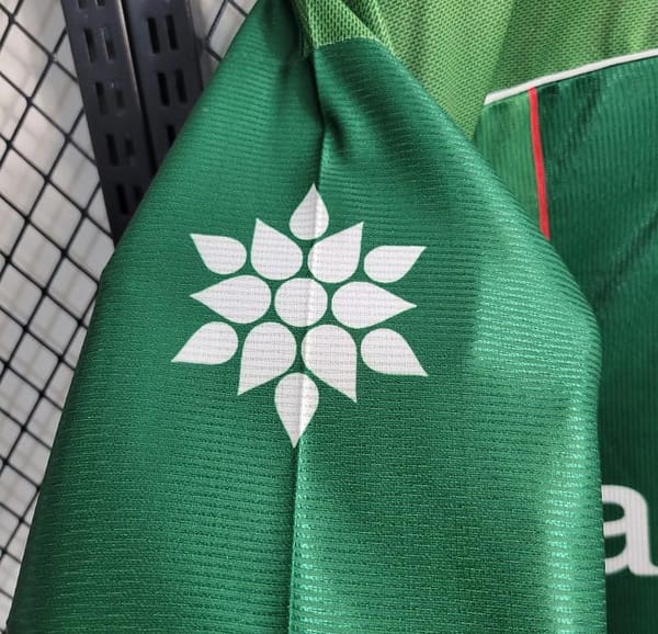 Retro 1999 Palmeiras Copa Libertadores Champion Home Jersey - Image 4