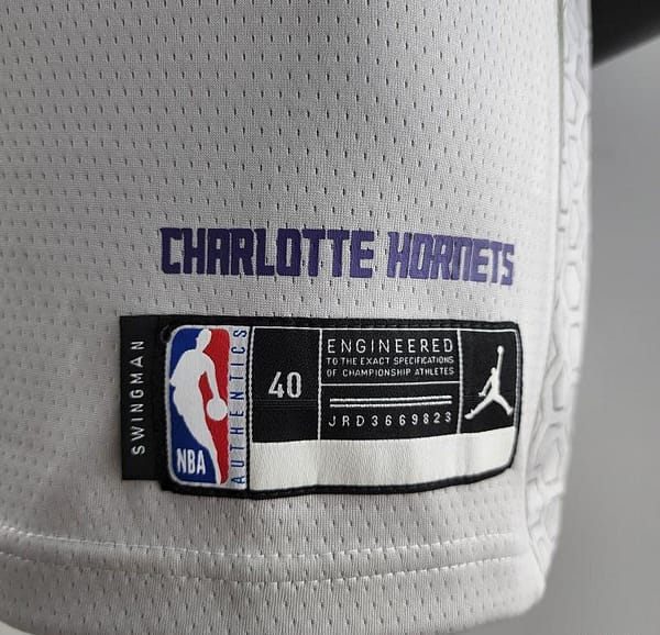 2019 Ball#2 Charlotte Hornets Grey NBA Jersey - Image 2