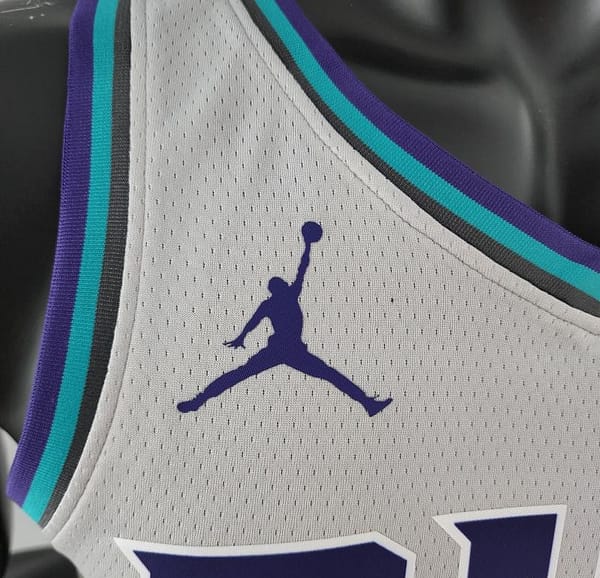 2019 Ball#2 Charlotte Hornets Grey NBA Jersey - Image 5