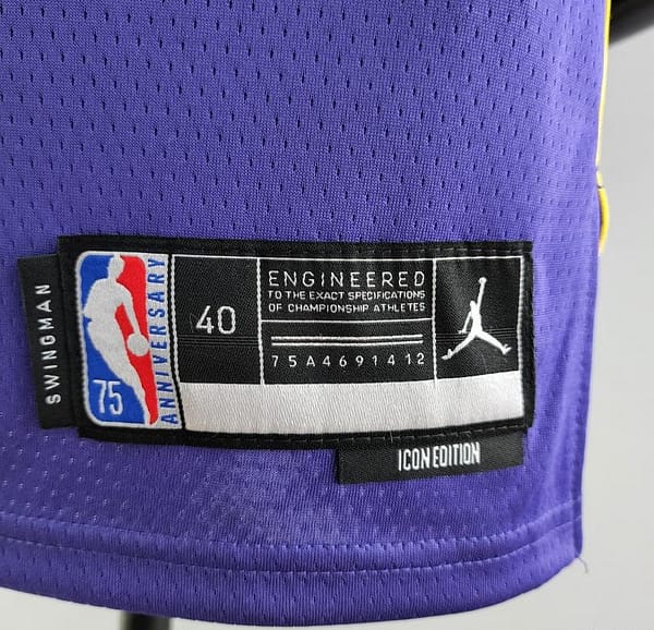 75th Anniversary TOSCANO #95 Los Angeles Lakers Jordan Purple NBA Jersey - Image 5