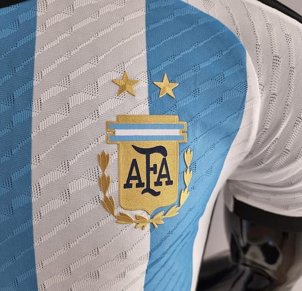 Player Version 2022 Argentina Home Soccer Jersey - Image 9