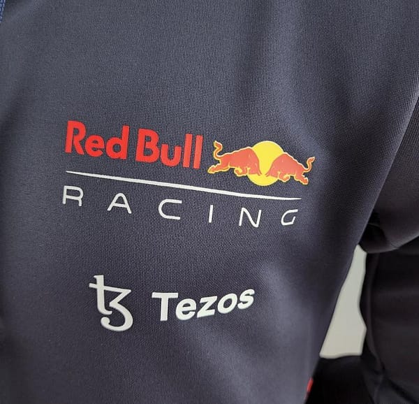 2022 F1 Redbull Navy Jacket #0003 - Image 5