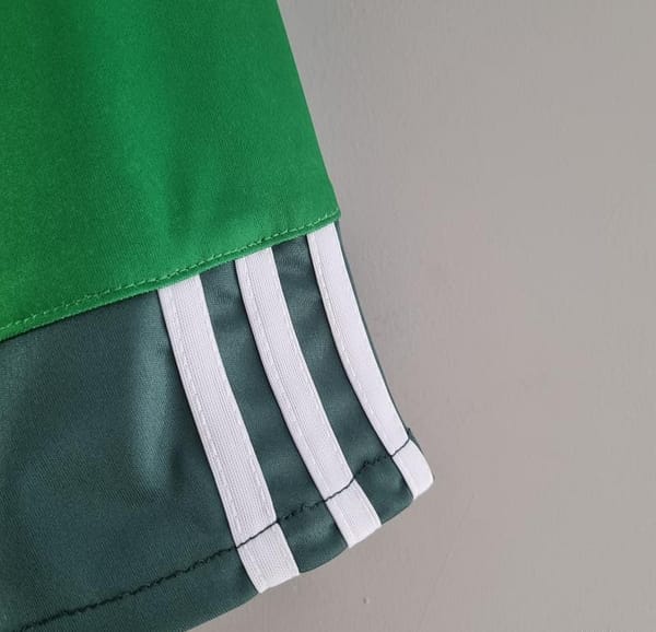 Retro 10/11 Palmeiras Home Soccer Jersey - Image 6