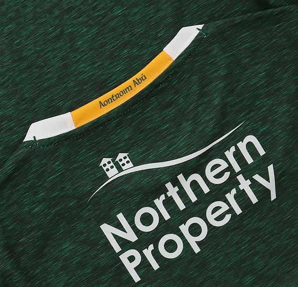 Antrim GAA 2-Stripe Men's Away Jersey - Image 3