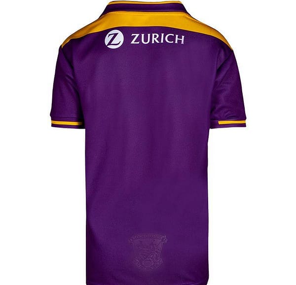Kids Wexford GAA 2 Stripe Home Jersey - Image 2