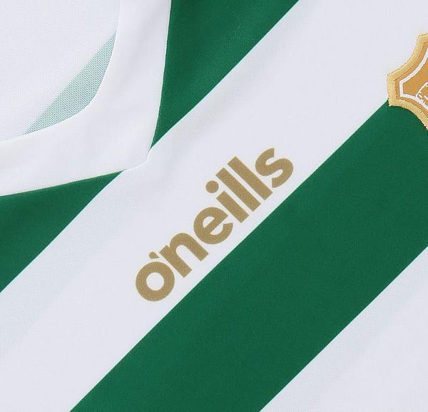 Kids Limerick GAA Commemoration Jersey - Image 6