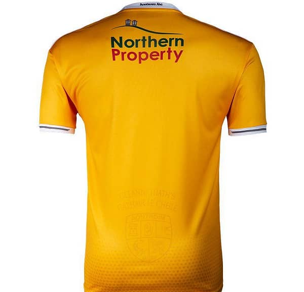 Antrim GAA 2-Stripe Men's Home Jersey - Image 2