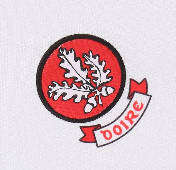 Derry GAA Men's 2-Stripe Home Jersey 2022/2023 - Image 3