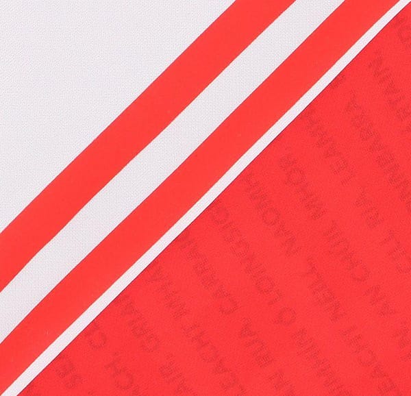 Derry GAA Men's 2-Stripe Home Jersey 2022/2023 - Image 8