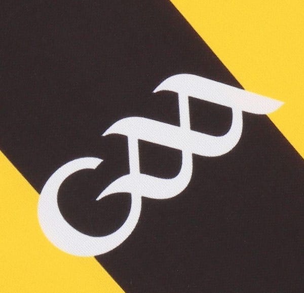 Kilkenny GAA 2 Stripe Home Men's Jersey 2022 - Image 4