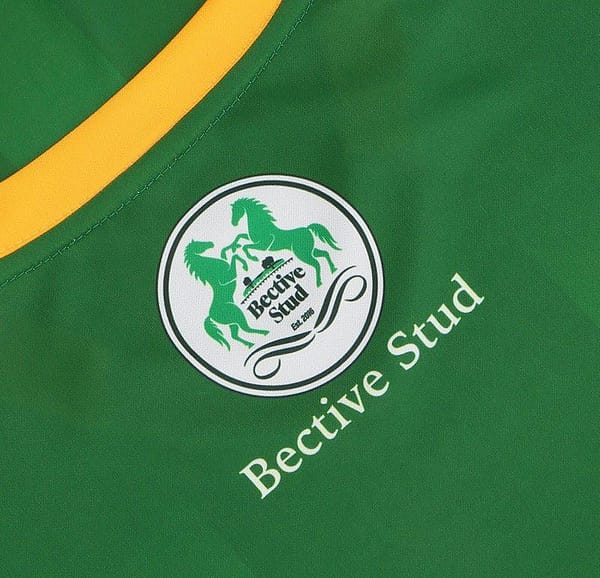 Meath GAA 2 Stripe Home Men's Jersey 2022 - Image 6