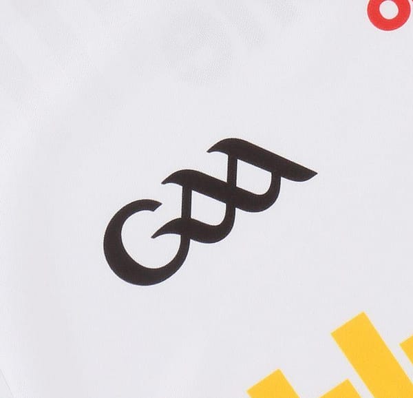Tyrone GAA 2 Stripe Home Men's Jersey 2022 - Image 5