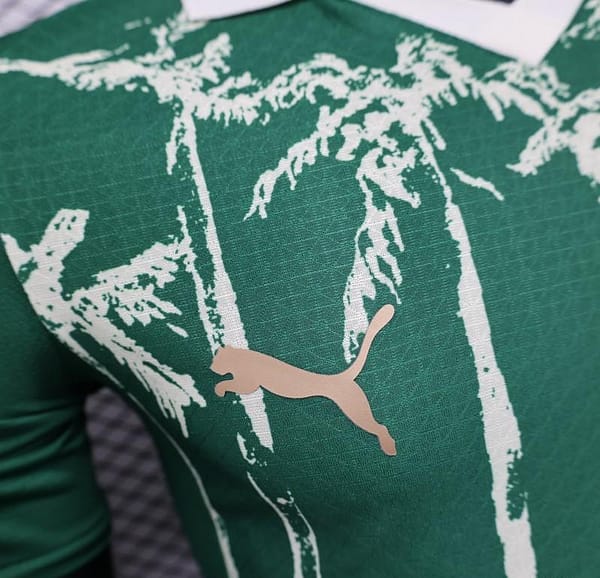 Player Version 25/26 Palmeiras Home Jersey - Image 6