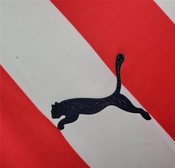 24/25 Chivas Guadalajara Home Long Sleeve Jersey - Image 2