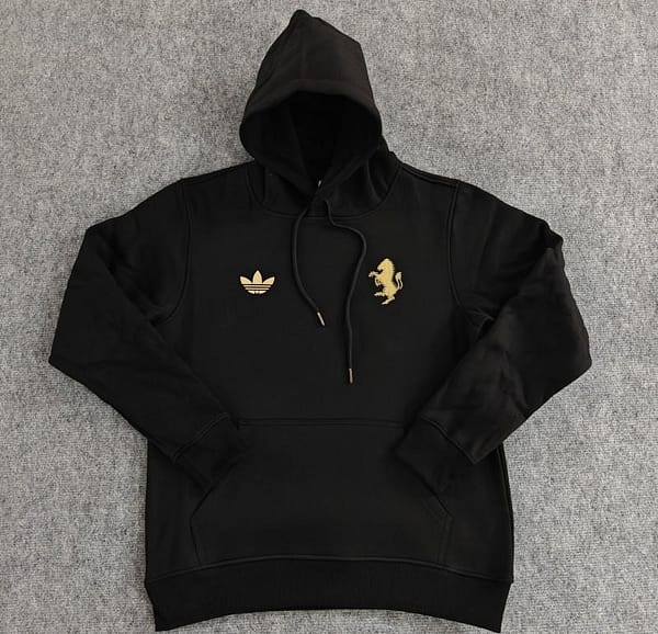2024 Juventus Black/Navy/Grey/Beige/White Hoodie With Golden Badge - Image 6