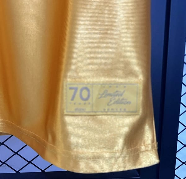 25/26 Wolves 70th Anniversary Yellow - Image 3