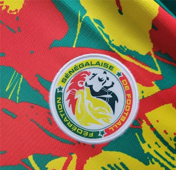2024 Senegal Pre-match Training Jersey - Image 4