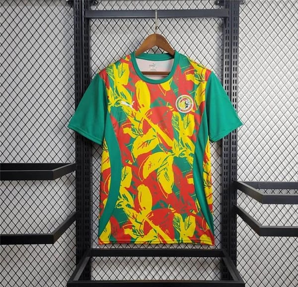 2024 Senegal Pre-match Training Jersey - Image 6
