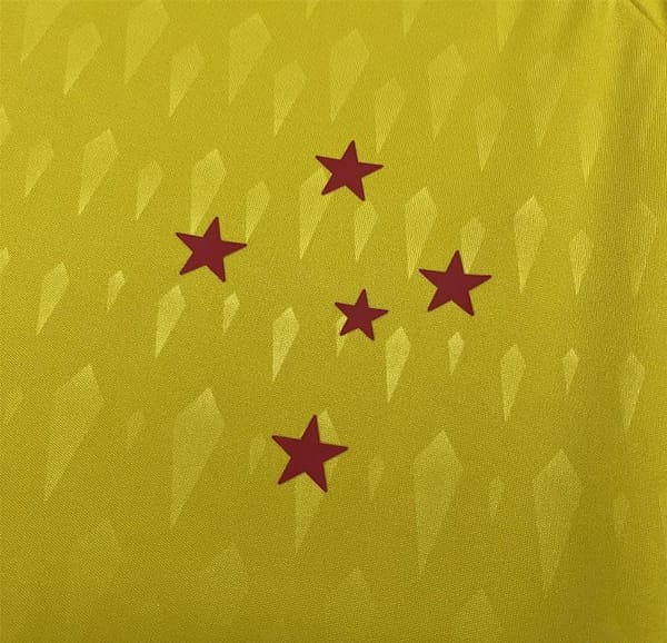 24/25 Cruzeiro Limited Edition Goalkeeper Yellow Jersey - Image 3