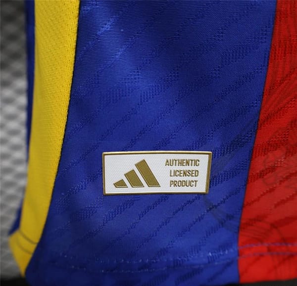 2024 Player Version Spain Pre-match Training Jersey Shirt - Image 7