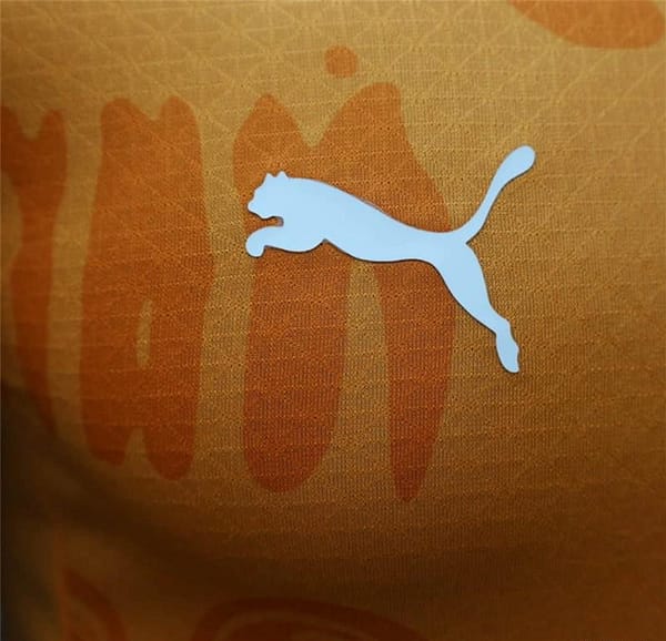 24/25 Player Version Ivory Coast Home Jersey - Image 8