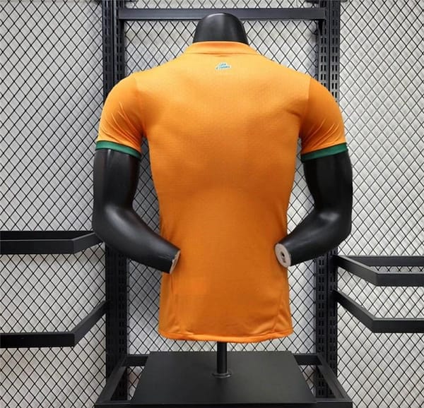 24/25 Player Version Ivory Coast Home Jersey - Image 9