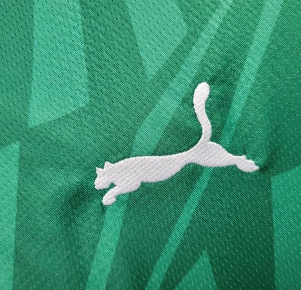 24/25 Borussia Monchengladbach Away Green Jersey - Image 8