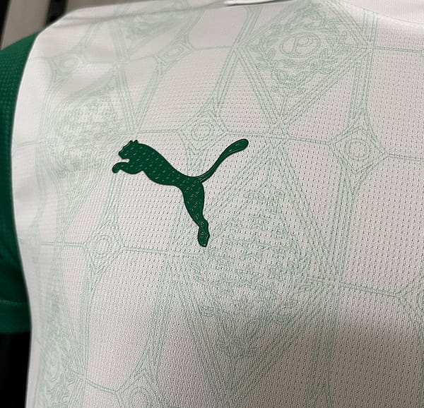25/26 Player Version Edition Palmeiras Away S-XXXXL Jersey - Image 4