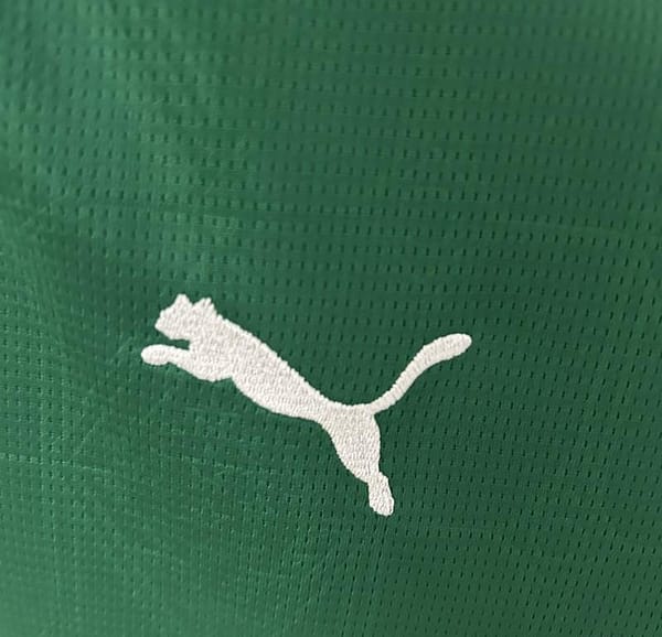 25/26 Women Palmeiras Home Jersey - Image 8