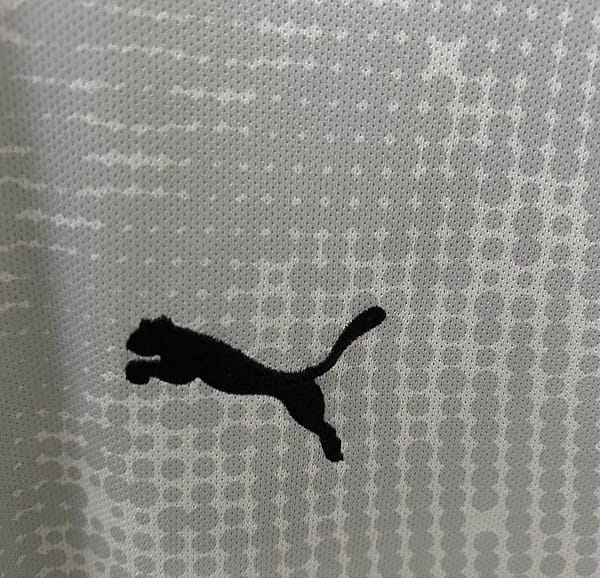 2025 Goalkeeper Portugal Grey Jersey - Image 6