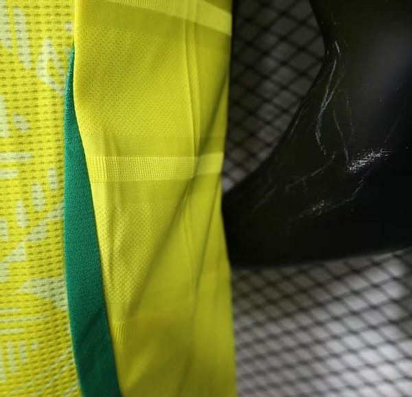 Player Version 2025 Jamaica Home Jersey - Image 11