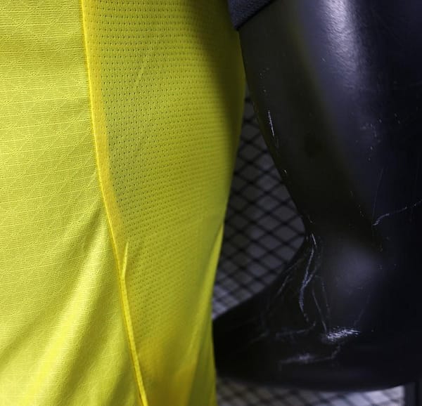 Player Version 25/26 Borussia Dortmund Home Yellow with Black Brush Stroke Jersey - Image 5