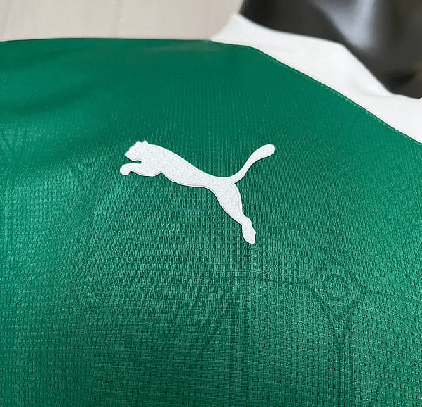 25/26 Player Version Edition Palmeiras Home S-XXXXL - Image 3