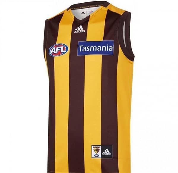 Hawthorn Hawks 2020 Men's Home Football Guernsey