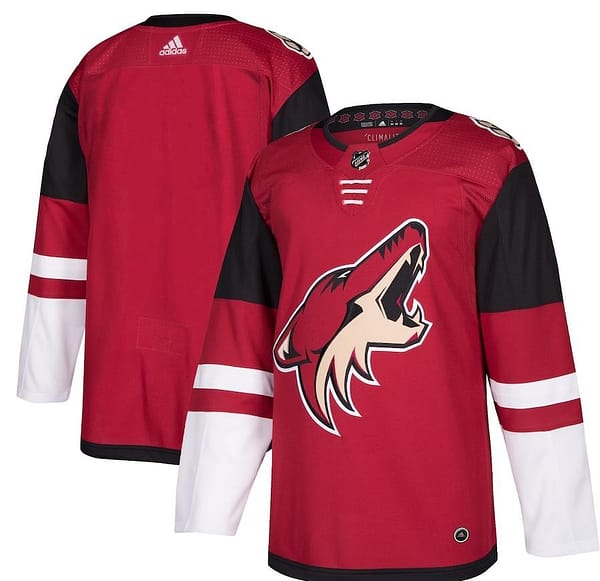 Women's Maroon Home Blank Team Jersey