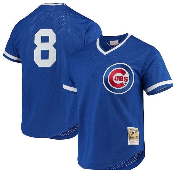 Men's Andre Dawson Royal Cooperstown Collection Mesh Batting Practice Throwback Jersey