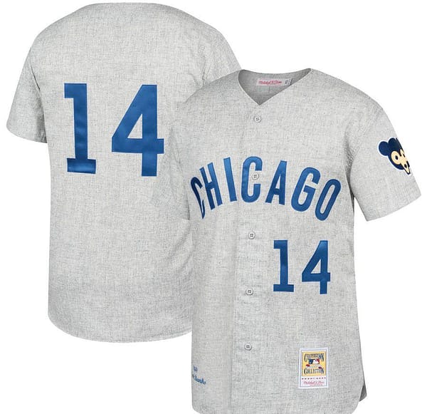 Men's Ernie Banks Gray Away 1969 Throwback Jersey