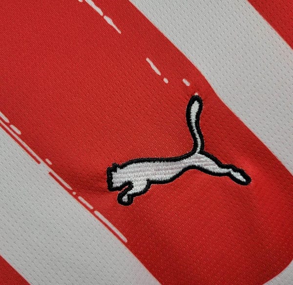 24/25 PSV Eindhoven Home Jersey - Image 2
