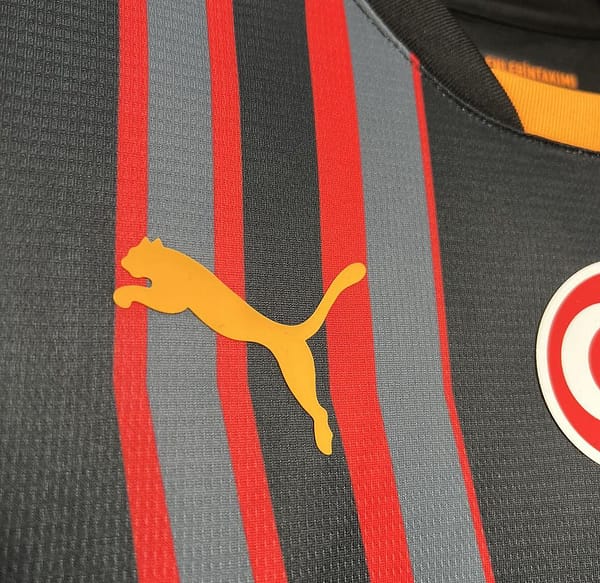24/25 Galatasaray THIRD Jersey - Image 7