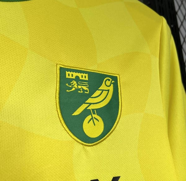 24/25 Norwich City F.C. Home Jersey - Image 5
