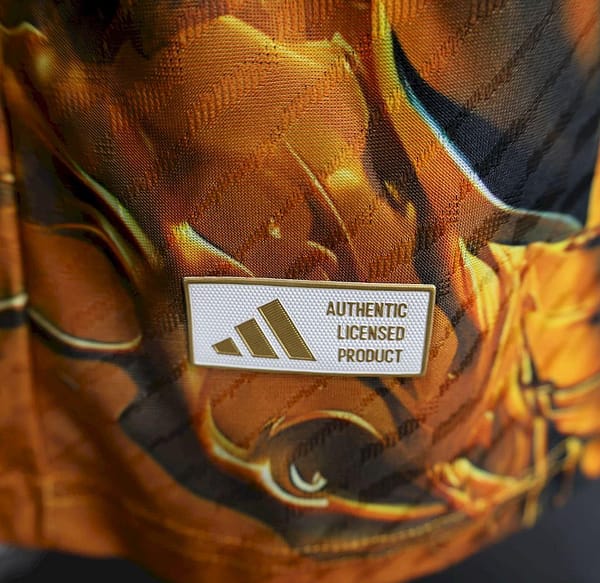 2025/26 Player Version Japan Female Warrior Jersey - Image 5