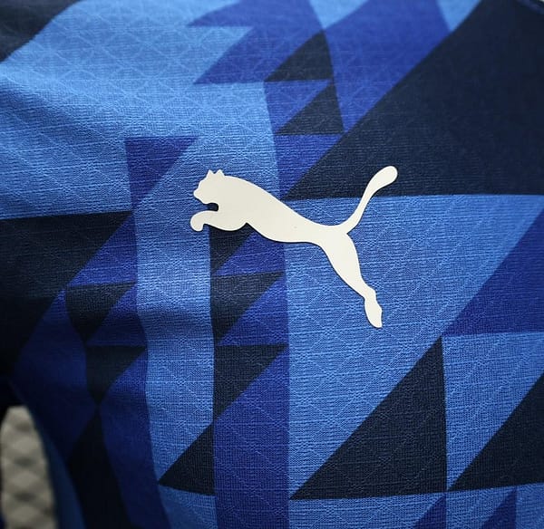 Player Version 24/25 Al Hilal Home Jersey - Image 10
