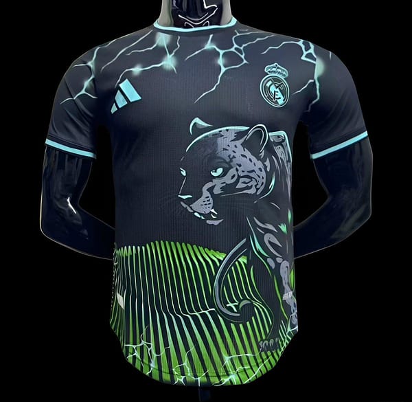 Player Version 24/25 Real Madrid Black/Green Special Jersey