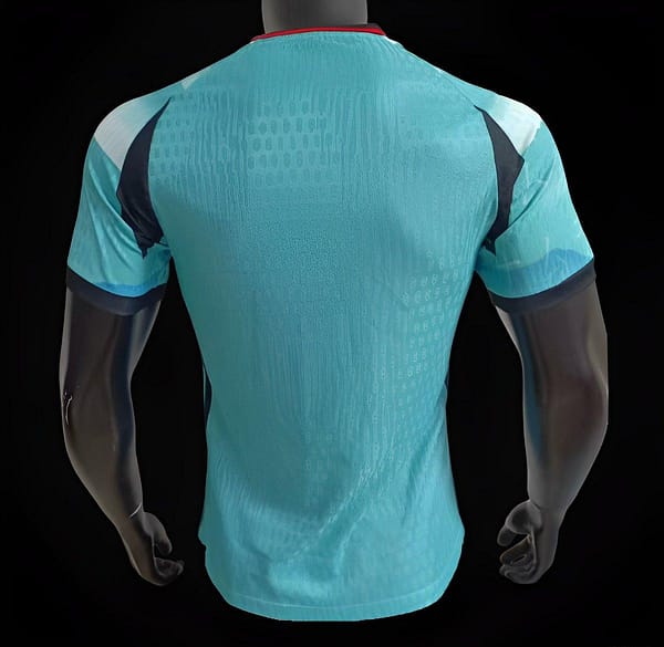Player Version 2024 Japan Mountain View Pattern Special Jersey - Image 2