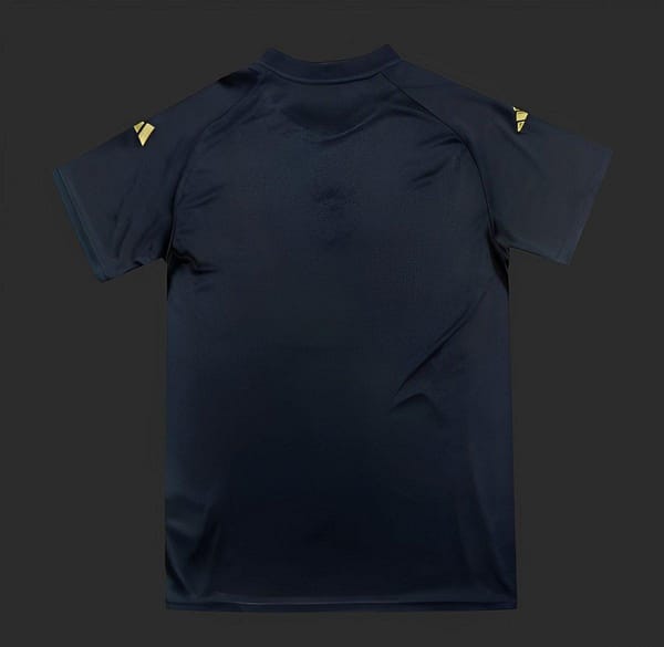 2024  Argentina Copa America Light Blue Stripes Pre-Match Jersey - Image 2