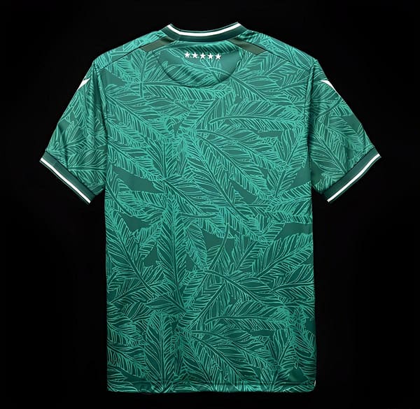 24/25 Santiago Wanderers Home Jersey - Image 2