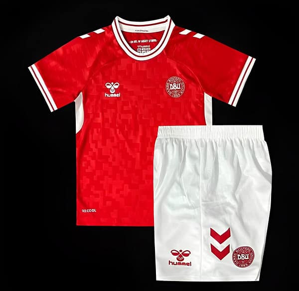 2024 Kids Denmark Home Jersey