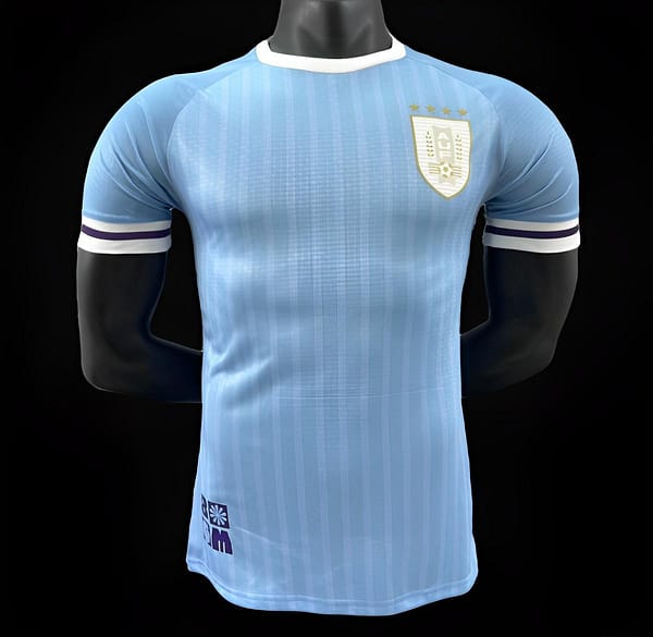 Player Version 2024 Uruguay Home Jersey